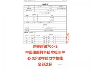 检测报告